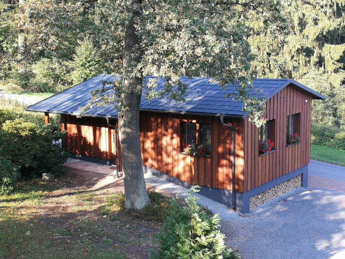 Ferienwohnung Haus Waldfrieden Altenberg  Exterior foto