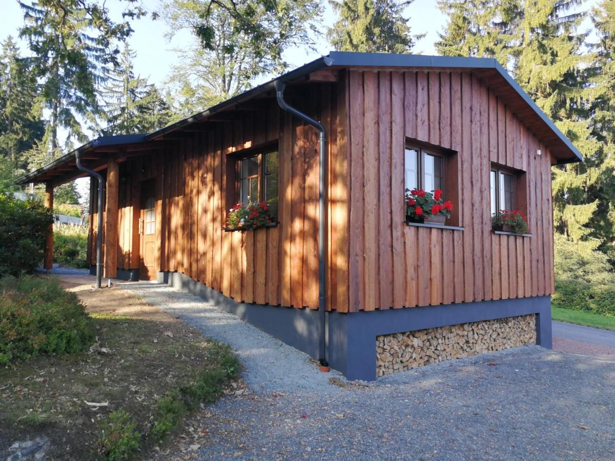 Ferienwohnung Haus Waldfrieden Altenberg  Exterior foto