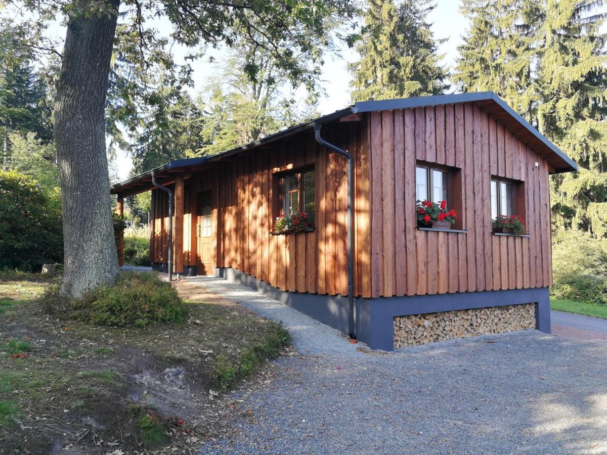 Ferienwohnung Haus Waldfrieden Altenberg  Exterior foto